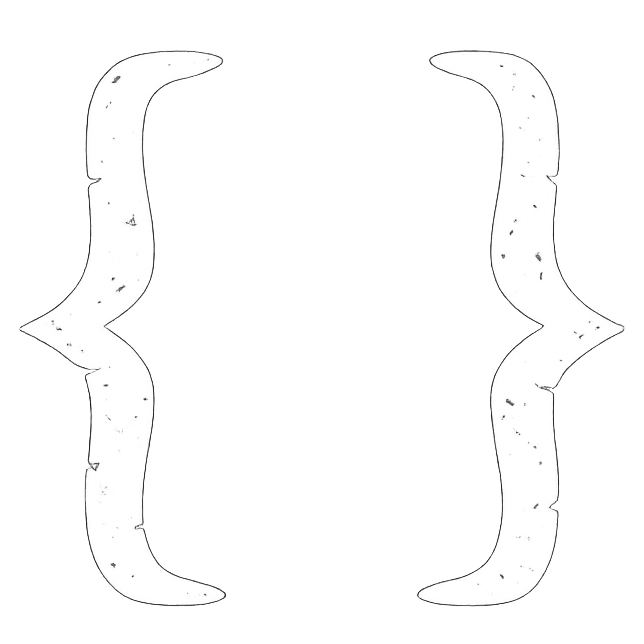 Scripts